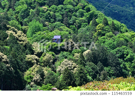 Okochi Sanso, Arashiyama 115463559