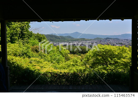 Okochi Sanso, Arashiyama 115463574
