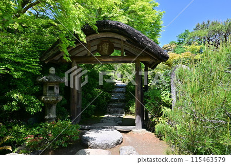 Okochi Sanso, Arashiyama 115463579