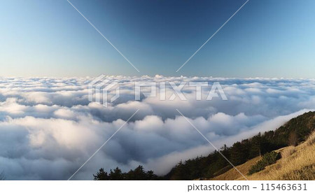 【風景】雲海、晴空【背景素材】 【風景】雲海、晴空【背景素材】 115463631