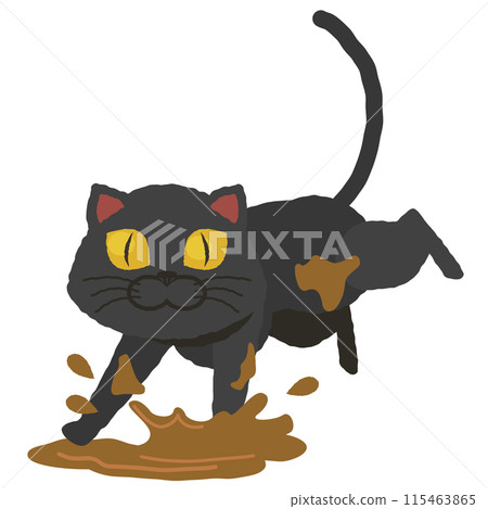 Black cat with paws in mud puddle 115463865