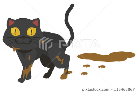 Black cat walking out of a mud puddle Black cat walking out of a mud puddle 115463867