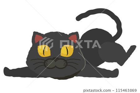 Black cat lying on stomach Black cat lying on stomach 115463869