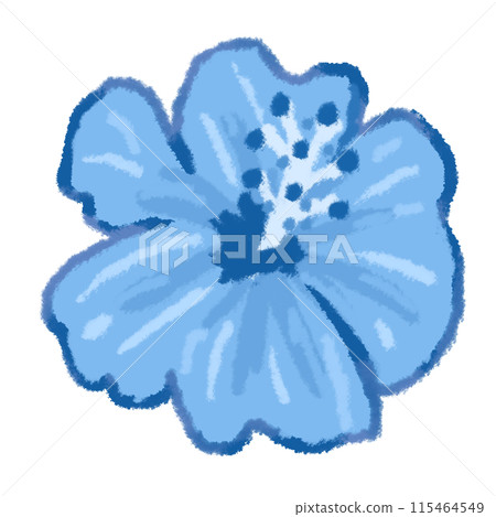 涼爽的藍色芙蓉花 涼爽的藍色芙蓉花 115464549