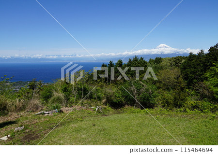 Suruga Bay and Mt. Fuji from the summit of Mt. Hattanjo in Izu Suruga Bay and Mt. Fuji from the summit of Mt. Hattanjo in Izu 115464694