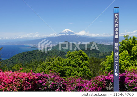 伊豆、葛城山、富士山的山頂 伊豆、葛城山、富士山的山頂 115464700