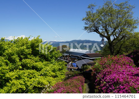 伊豆葛城山頂休息屋青露台 伊豆葛城山頂休息屋青露台 115464701