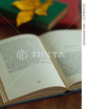 書籍和落葉閱讀圖像 115465125