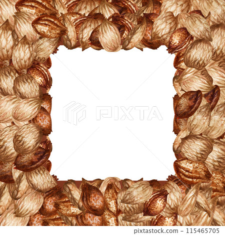 Square frame of apricot kernels and seeds. Watercolor illustration for the design template for label, banner, menu, invitation, wallpaper, advertising of oil in medicine, cosmetology and cooking 115465705