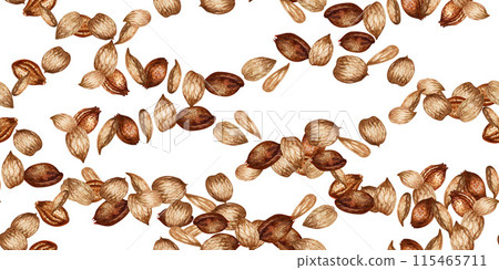 Seamless border of apricot kernels and seeds. Watercolor illustration for design template for label, banner, menu, invitation, wallpaper, advertisement of oil in medicine, cosmetology and cooking 115465711