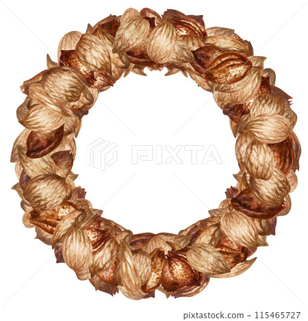 Round frame of apricot kernels and seeds. Watercolor illustration for the design template for label, banner, menu, invitation, wallpaper, advertising of oil in medicine, cosmetology and cooking Round frame of apricot kernels and seeds. Watercolor illustration for the design template for label, banner, menu, invitation, wallpaper, advertising of oil in medicine, cosmetology and cooking 115465727