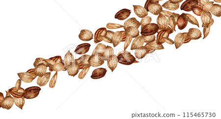 Rectangular border of apricot kernels and seeds. Watercolor illustration for design template for label, banner, menu, invitation, wallpaper, advertisement of oil in medicine, cosmetology and cooking Rectangular border of apricot kernels and seeds. Watercolor illustration for design template for label, banner, menu, invitation, wallpaper, advertisement of oil in medicine, cosmetology and cooking 115465730
