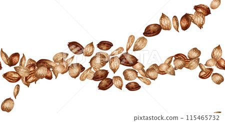 Seamless border of apricot kernels and seeds. Watercolor illustration for design template for label, banner, menu, invitation, wallpaper, advertisement of oil in medicine, cosmetology and cooking Seamless border of apricot kernels and seeds. Watercolor illustration for design template for label, banner, menu, invitation, wallpaper, advertisement of oil in medicine, cosmetology and cooking 115465732