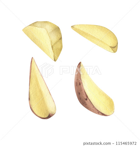 Red potatoes in brown skin and peeled, cut into slices. Watercolor illustration, hand drawn on the theme of harvest, cooking, food, vegetable shop design. Set of elements isolated from background Red potatoes in brown skin and peeled, cut into slices. Watercolor illustration, hand drawn on the theme of harvest, cooking, food, vegetable shop design. Set of elements isolated from background 115465972