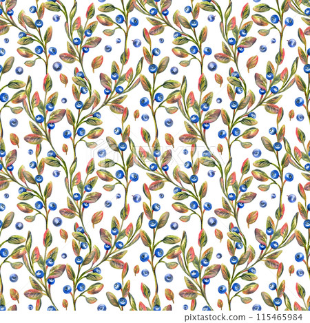 Forest autumn blueberries with leaves. Illustration hand drawn with watercolor crayons. Seamless pattern on a white background Forest autumn blueberries with leaves. Illustration hand drawn with watercolor crayons. Seamless pattern on a white background 115465984