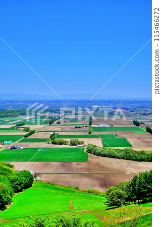 Spectacular view of the Tokachi Plain from the Shin-Arashiyama Sky Park Observatory 115466272