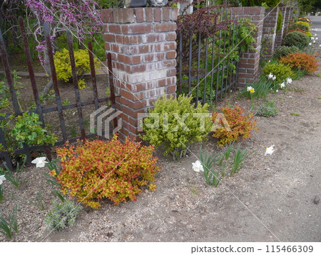 A garden decorated with plants around the fence A garden decorated with plants around the fence 115466309