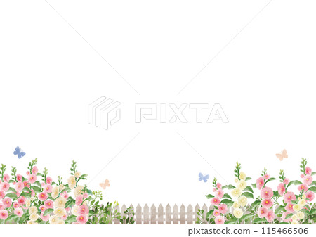 有蜀葵的花園（柵欄下方） 115466506