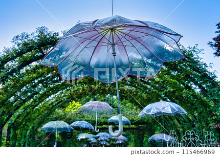 Umbrella object Umbrella object 115466969