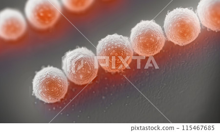 Image of streptococcus bacteria taken under an electron microscope 115467685