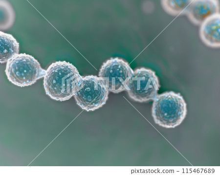 用電子顯微鏡拍攝的鏈球菌影像 用電子顯微鏡拍攝的鏈球菌影像 115467689