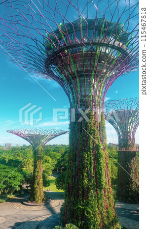Gardens by the Bay vertical photo 115467818