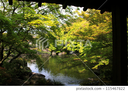 姬路城西宅邸遺址庭園「好古園」春天的日式庭園 115467822