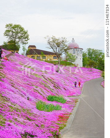 北海道的壯麗景色 - 芝櫻瀧上公園的風景 115467834