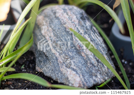 A large rock sits in the midst of grass and dirt in a terrestrial landscape 115467925