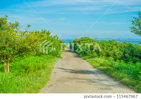 Countryside scenery of Akita Countryside scenery of Akita 115467967