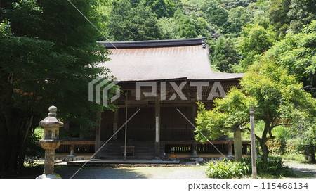 The main hall of Hagaji Temple in early summer 115468134