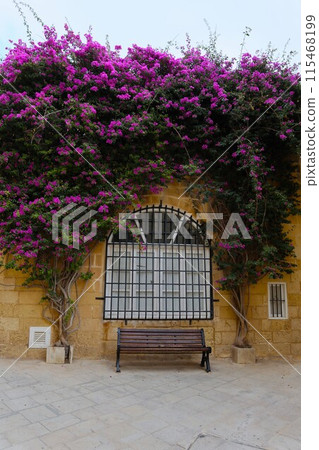 Bench and flowers in Mdina, Malta Bench and flowers in Mdina, Malta 115468199