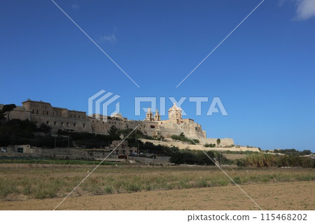 Panoramic view of Mdina, Malta 115468202