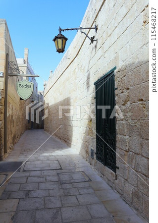 Narrow streets of Mdina, Malta 115468217