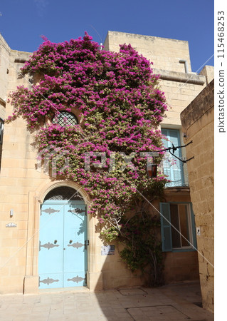 Houses and flowers in Mdina, Malta Houses and flowers in Mdina, Malta 115468253