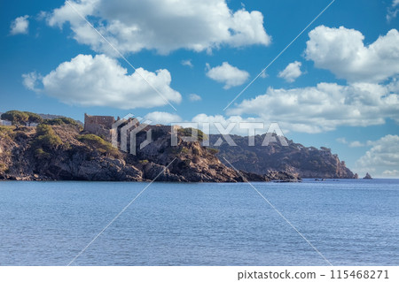 Detail of the Spanish coast.Old castle. (Costa Brava,Fosca) 115468271