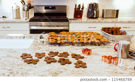 After baking to perfection, these delightful gingerbread cookies are now cooling gracefully on a wire rack, filling the modern kitchen with a warm and inviting aroma. After baking to perfection, these delightful gingerbread cookies are now cooling gracefully on a wire rack, filling the modern kitchen with a warm and inviting aroma. 115468789