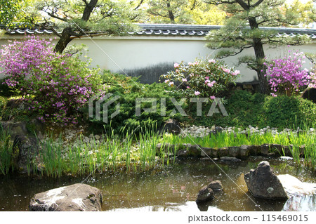 Himeji Castle West Mansion Garden "Koukoen" Japanese Garden in Spring 115469015