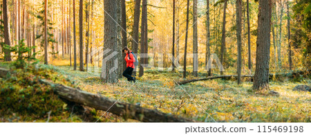 Active Young Adult Beautiful Caucasian Girl Woman Dressed In Red Jacket Walking In Autumn Green Forest. Active Lifestyle In Fall Age Nature During Sunset Active Young Adult Beautiful Caucasian Girl Woman Dressed In Red Jacket Walking In Autumn Green Forest. Active Lifestyle In Fall Age Nature During Sunset 115469198