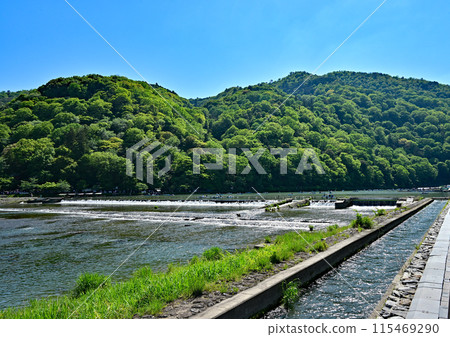 Arashiyama 115469290