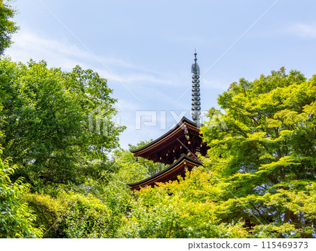 [Nara Prefecture] Asuka Village, Okadera (photographed on June 11, 2024) 115469373
