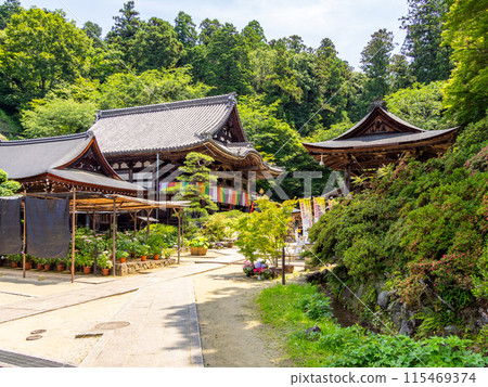 [Nara Prefecture] Asuka Village, Okadera (photographed on June 11, 2024) 115469374