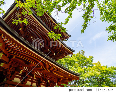 [Nara Prefecture] Asuka Village, Okadera (photographed on June 11, 2024) 115469386