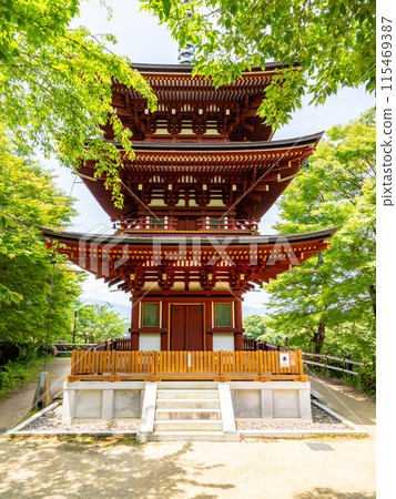 [奈良縣] 岡寺飛鳥村（2024年6月11日拍攝） 115469387