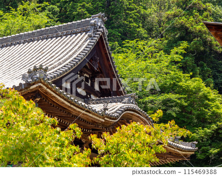[奈良縣] 岡寺飛鳥村（2024年6月11日拍攝） 115469388