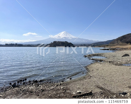 河口湖和富士山 115469759