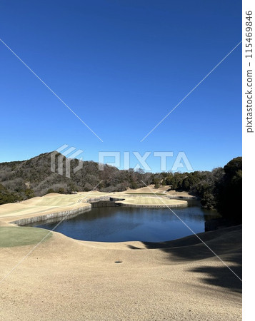 Short hole with island green 115469846