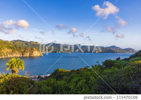 Spectacular view from the summit of Ogamiyama Park in the Ogasawara Islands 115470106