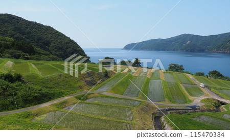 大海和梯田若定烏浦 115470384