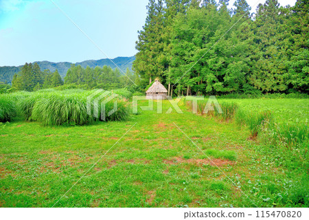 Scenery of Tono, also known as the legendary land of Denderano and the Abandonment of Old Women in Tohoku, Tono, Yamaguchi, Tono City, Iwate Prefecture (3) 115470820